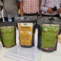 516189035_122233282340237775_6817651730177955325_n