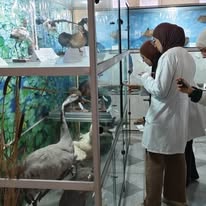 595885081_840391992072702_6948070619765925473_n